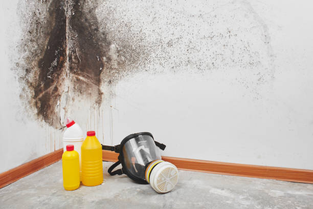 Water Damage Restoration in Mount Vernon, VA