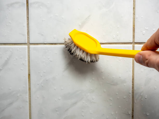 Certified Mold Removal in Mount Vernon, VA