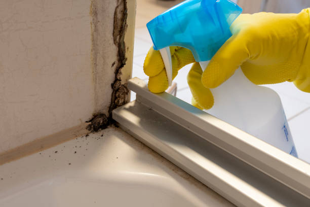 Water Damage Restoration in Mount Vernon, VA